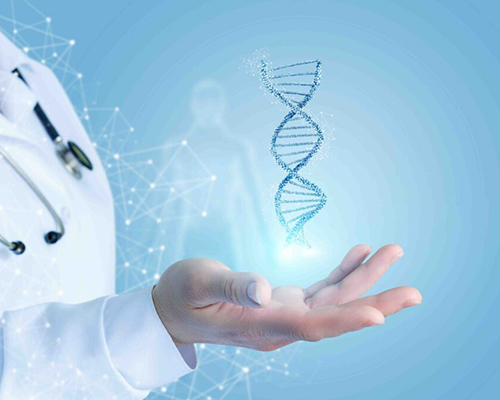 Genetic Counseling