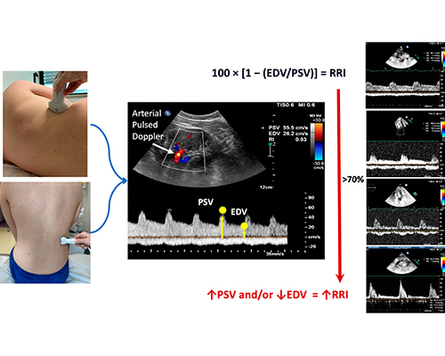 Doppler & Vascular Studies